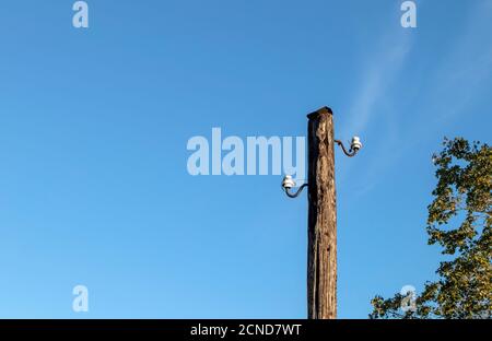 Old wooden power transmission pole with two ceramic insulators Stock Photo