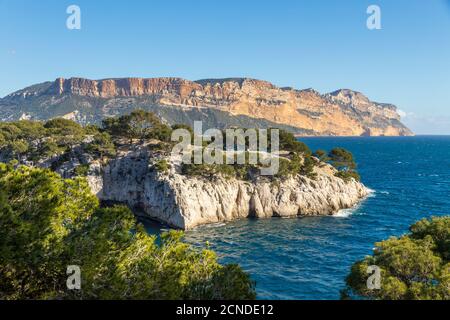 View over the Calanque de Port Pin and Cap Canaille, Calanques National Park, Cassis, Bouches du Rhone, Provence, France, Mediterranean, Europe Stock Photo