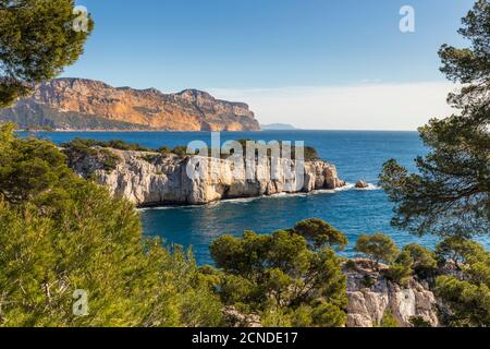 View over the Calanque de Port Pin and Cap Canaille, Calanques National Park, Cassis, Bouches du Rhone, Provence, France, Mediterranean, Europe Stock Photo