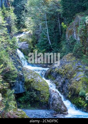 Waterfall in Lava Canyon, Mount St. Helens National Volcanic Monument, Washington State, United States of America
