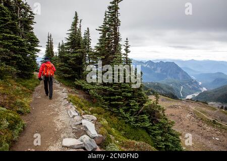 Views from the Skyline Trail of Mount Rainier National Park, Washington State, United States of America Stock Photo