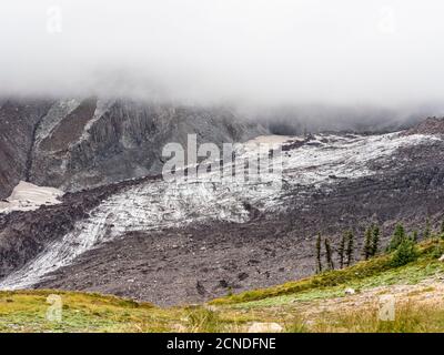 Views of the Nisqually Glacier from the Skyline Trail, Mount Rainier National Park, Washington State, United States of America Stock Photo