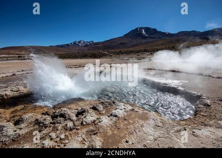 Geysers del Tatio (El Tatio), the third largest geyser field in the world, Andean Central Volcanic Zone, Antofagasta Region, Chile Stock Photo