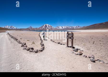 Tourist on the path to Laguna Miscanti, a brackish lake at an altitude of 4140 meters, Central Volcanic Zone, Chile Stock Photo