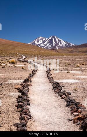 Path to Laguna Miscanti, a brackish lake at an altitude of 4140 meters in the Andean Central Volcanic Zone, Chile Stock Photo