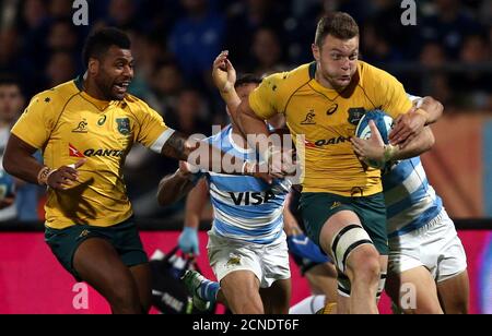 los pumas vs australia