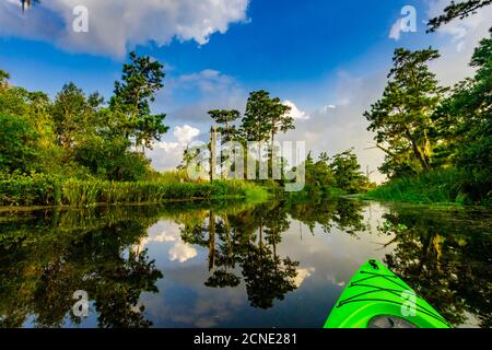 Kayaking through Cane Bayou, New Orleans, Louisiana, United States of America Stock Photo
