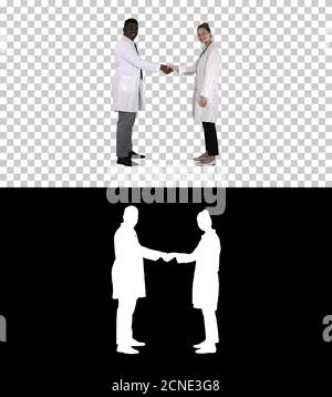 Doctors shaking hands and posing to camera, Alpha Channel Stock Photo