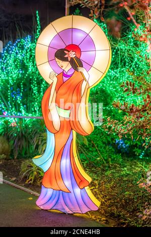 Wild lights at Dublin zoo. Light display of Chinese woman holding umbrella Stock Photo