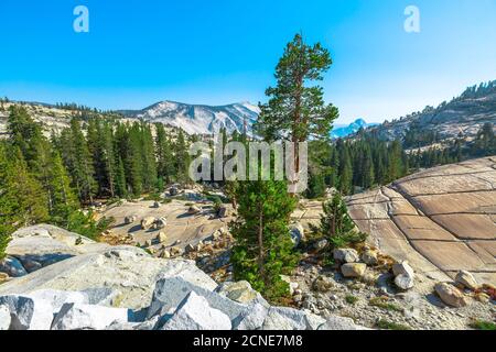 Panorama of Olmsted Point, off Tioga Pass Road in Yosemite National Park,  California, United States of America Stock Photo