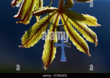 Pendant with cross on a young green chestnut leaf at springtime, France, Europe Stock Photo