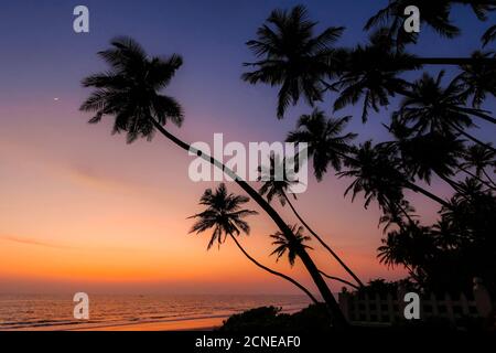 Leaning palm trees at sunset on lovely unspoilt Kizhunna Beach, south of Kannur on the state's North coast, Kannur, Kerala, India, Asia Stock Photo