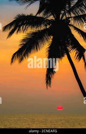 Leaning palm tree at sunset on lovely unspoilt Kizhunna Beach, south of Kannur on the state's North coast, Kannur, Kerala, India, Asia Stock Photo