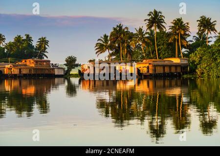 Houseboats moored at dawn after the overnight stay on the popular backwater cruise, Alappuzha (Alleppey), Kerala, India, Asia Stock Photo