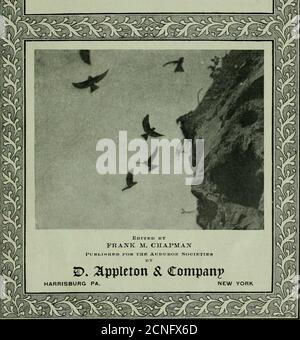 Color photograph of a Curve-billed Thrasher perched on a cane cholla