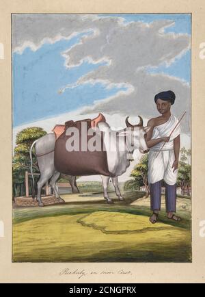 Puckaly in Moor Cast, from Indian Trades and Castes, ca. 1840. Stock Photo