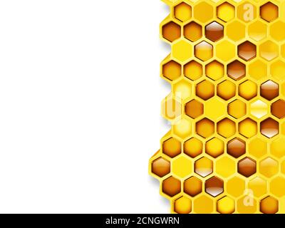 honeycomb Stock Photo