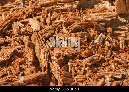 Brown wooden mulch closeup as wooden background Stock Photo