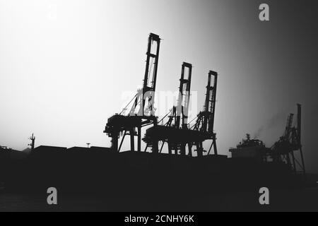 Gantry cranes silhouette photo, industrial cargo port view, black and white Stock Photo