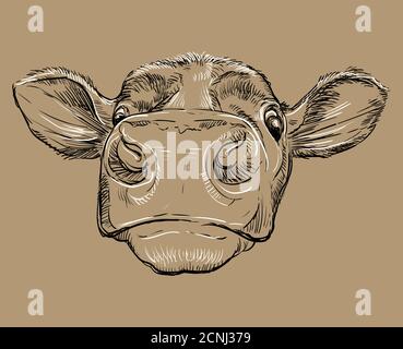 Monochrome funny cow head sketch hand drawn vector illustration isolated on brown background. Vintage illustration of bull for poster, print, t shirt Stock Vector