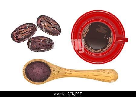 Set of cocoa. Cocoa powder, wooden spoon, cacao beans and cup of hot chocolate isolated on white background. Object top view.Stock vector illustration Stock Vector