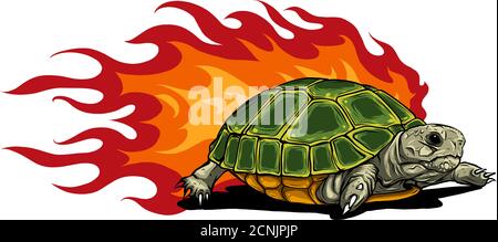 turtle isolated on white background vector illustration Stock Vector