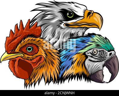 Eagle Mascot Logo Design Vector Template illustration Stock Vector