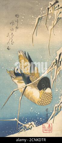 Mallard Duck and Snow-covered Reeds , ca. 1832. Stock Photo