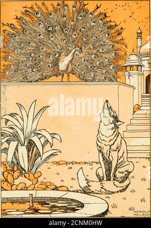 . The talking beasts : a book of fable wisdom . WHY, WAS IT NOT FOOLISH OF ME TO COUNT THE STARS INTHE SKY, WHEN I COULD HAVE COUNTED THE STARS IN YOURBRILLIANT PLUMAGE TO BETTER ADVANTAGE? SAID THE FOX THE TALKING BEASTS A BOOK OF FABLE WISDOM EDITED BY KATE DOUGLAS WIGGIN MiAND NORA ARCHIBALD SMITHtalkingbeastsboo00wigg Stock Photo
