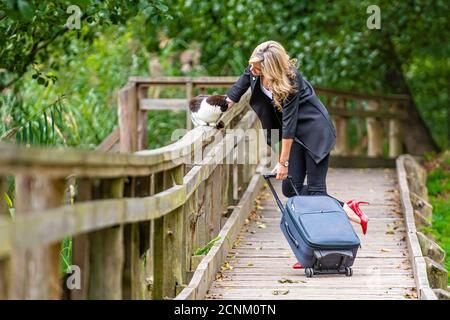 a young elegant woman with a travel bag stands on a wooden boardwalk in the park and strokeing a cat Stock Photo