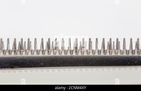 hair clipper clear cutting blade close-up macro shot Stock Photo
