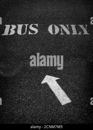 Bus only sign painted white on roadway asphalt for direction