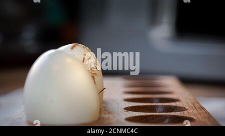 Straw covered fresh hens egg hiding behind another in wooden holder in kitchen. Dark background ingredients food produce healthy eating. Stock Photo
