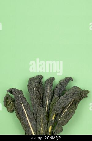 Fresh green organic raw kale, Italian kale, Tuscan kale, lacinato, dinosaur kale, leaves on green background. Top view, copy space Stock Photo