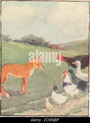 . What happened then stories . e are you going? askedTurkey Lurky. The sky has fallen and we are going totell the king. Then I will go with you, said TurkeyLurky. So Chicken Little, Ducky Lucky, CockyLocky, Draky Laky, and Turkey Lurky ranto tell the king that the sky had fallen.Down by the pond they met GooseyPoosy. Where are you going? asked GooseyPoosy. 37 CHICKEN LITTLE The sky has fallen and we are going totell the king. Then I will go with you, said GooseyPoosy. So Chicken Little, Ducky Lucky, CockyLocky, Draky Laky, Turkey Lurky, andGoosey Poosy ran to tell the king that thesky had fall Stock Photo