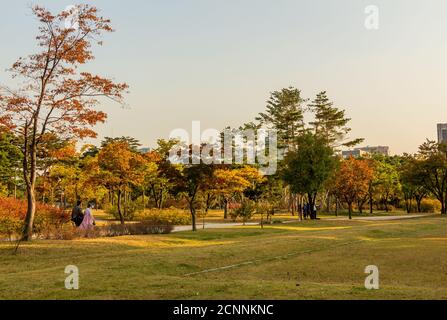 The grounds of Gyeongbokgung Palace in autumn colours in late afternoon, Seoul, South Korea Stock Photo