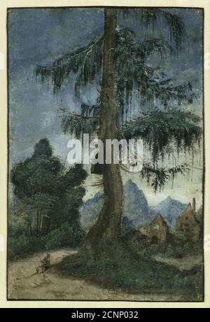 Landscape with a spruce, ca 1522. Found in the collection ofStaatliche Museen, Berlin. Stock Photo