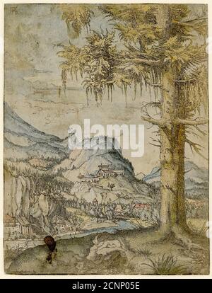 Large Spruce, ca 1517-1520. Found in the collection of Albertina, Vienna. Stock Photo