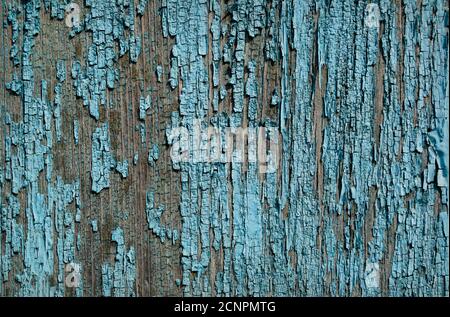 Old painted blue wood wall - texture or background Stock Photo