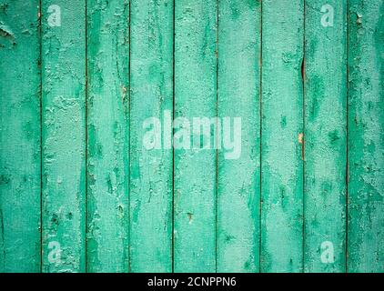 Green painted natural wood background texture. Closeup Stock Photo