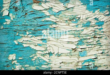 Green wall wooden texture as background. Closeup Stock Photo