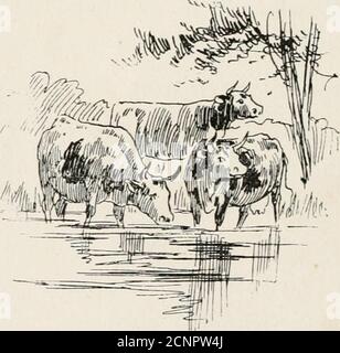 . Little helpers . , thin horses, met the morning and evening trains. The farmhouse was long and low, with a gambrel roof and great dormer windows, and whatgarrets that combination makes!It was whitewashed all over theoutside — and the inside, too, i%K$$w -4S rJS mti^^M^M for that matter — and had faded green shutters. There was alarge porch at the front door,with benches at each side, anda small one at the back door,and a wide hall ran straight through the middle of the house, from one porch to the other.The farm was no make-believe affair of a few acres, with only two or three horses and cow Stock Photo