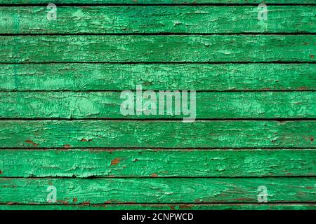 Green wall wooden texture as background. Closeup Stock Photo