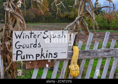 Homemade sign on a fence advertising vegetables for sale at local roadside farm stand. Stock Photo