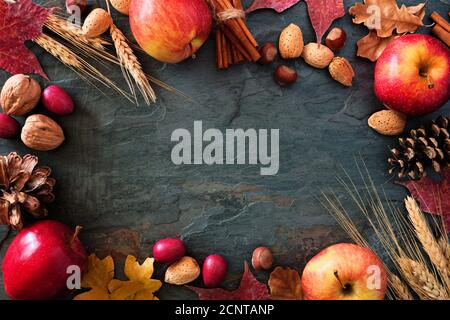 Autumn frame of apples, fall foods and decor on a dark stone background with copy space Stock Photo