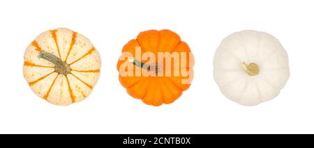 Assortment of autumn pumpkins isolated on a white background. Top view. Striped, orange and white. Stock Photo