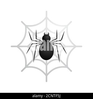 Black spider in web vector illustration isolated on white background. Suitable for t-shirt design or other design project. Stock Vector
