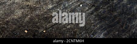 Old cracked stump surface background. Beautiful dark wooden texture Stock Photo