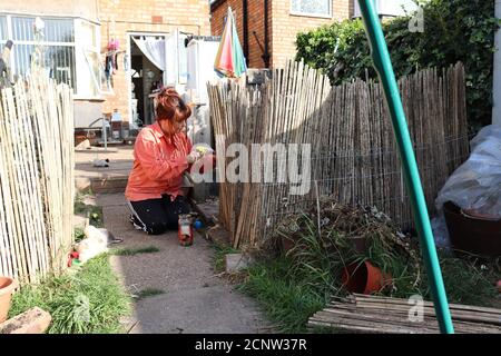 Woman with cancer doing d.i.y at home in the garden. Stock Photo