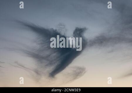 Dark cloud in shape of a pigeon in the evening sky Stock Photo